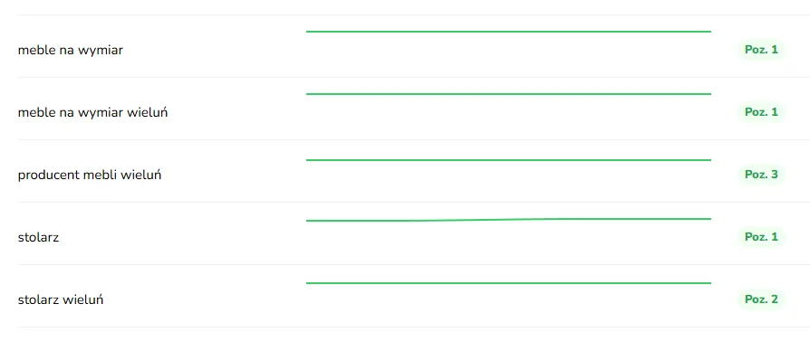 Pozycje słów kluczowych wizytówki Google Novis Concept